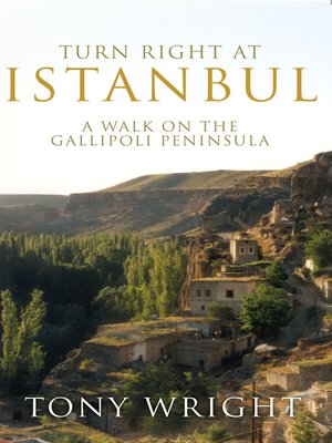 cover image of Turn Right at Istanbul